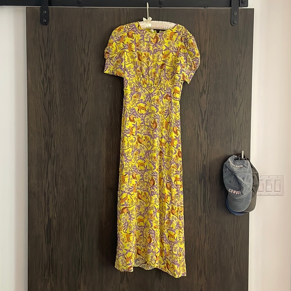 SALONI dress, size 0, 100% silk. Originally $595 and selling for $300.